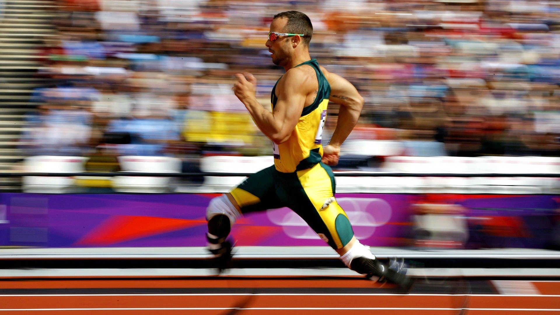 中国女排比赛现场出现感人标语，适合中国女排的文案